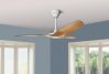 Lower Your Energy Bills with  Smart Ceiling Fan
